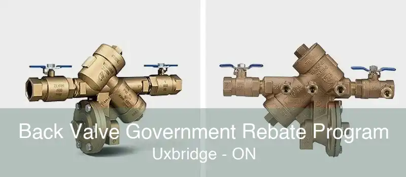 Back Valve Government Rebate Program Uxbridge - ON