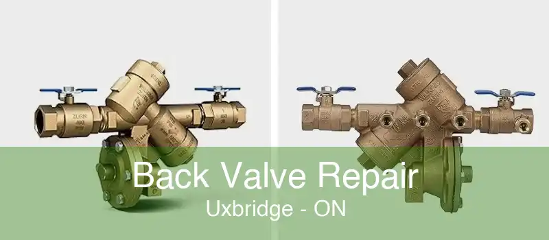 Back Valve Repair Uxbridge - ON