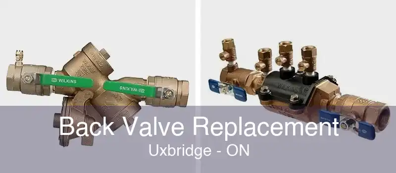 Back Valve Replacement Uxbridge - ON