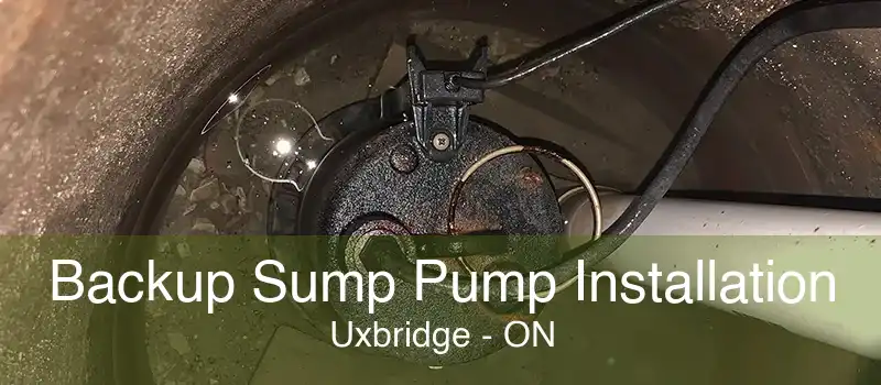 Backup Sump Pump Installation Uxbridge - ON