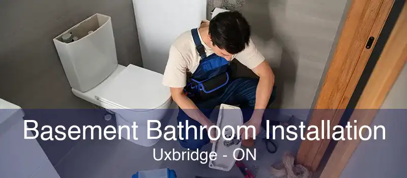 Basement Bathroom Installation Uxbridge - ON