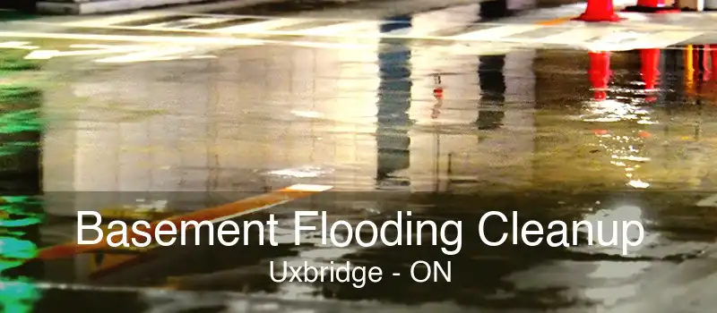 Basement Flooding Cleanup Uxbridge - ON