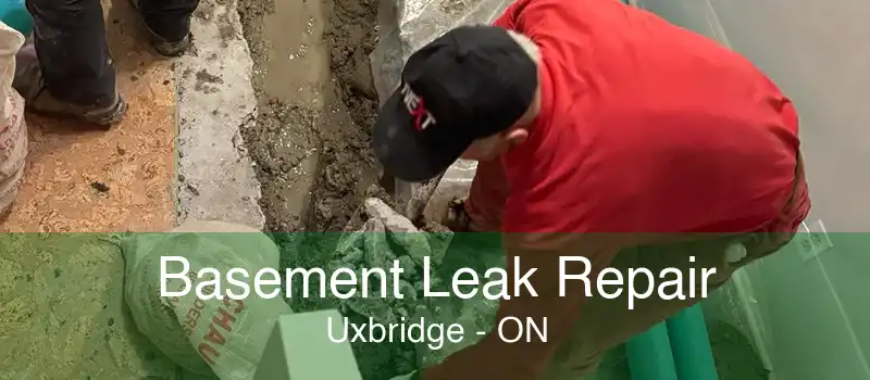 Basement Leak Repair Uxbridge - ON