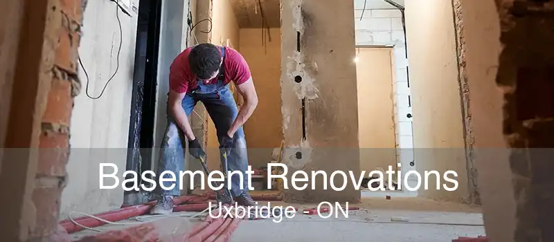 Basement Renovations Uxbridge - ON