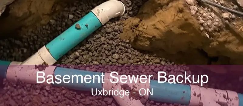 Basement Sewer Backup Uxbridge - ON