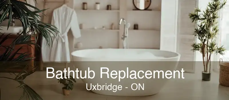 Bathtub Replacement Uxbridge - ON