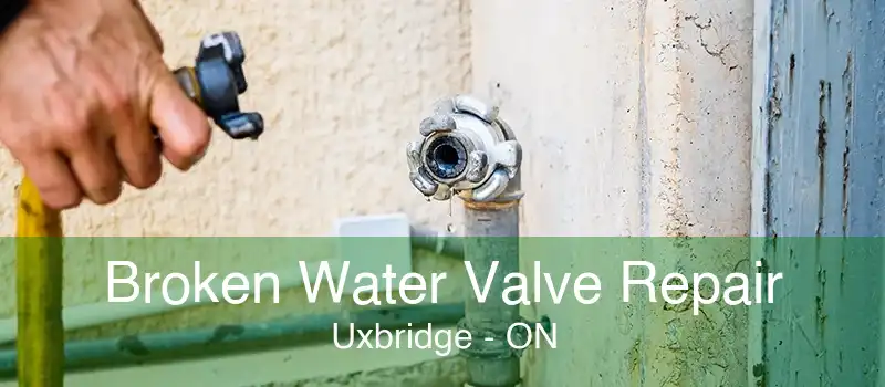 Broken Water Valve Repair Uxbridge - ON