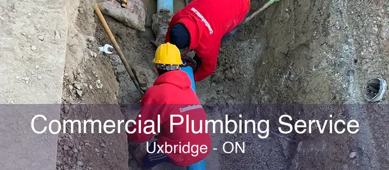 Commercial Plumbing Service Uxbridge - ON