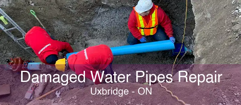 Damaged Water Pipes Repair Uxbridge - ON