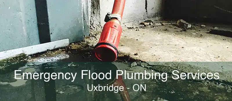 Emergency Flood Plumbing Services Uxbridge - ON