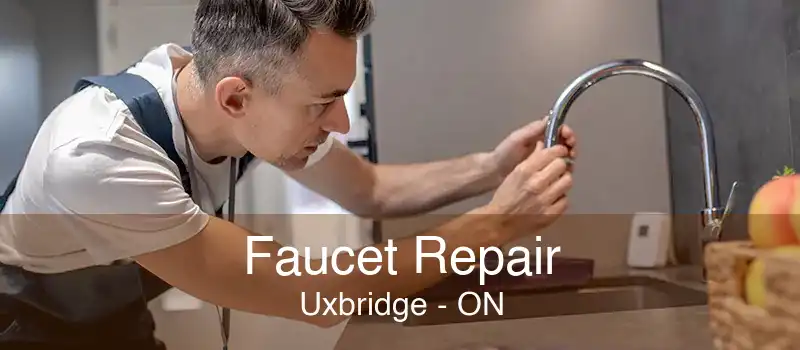 Faucet Repair Uxbridge - ON