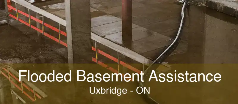 Flooded Basement Assistance Uxbridge - ON