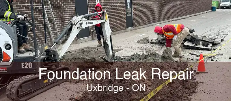 Foundation Leak Repair Uxbridge - ON