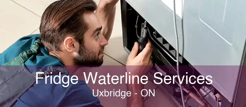 Fridge Waterline Services Uxbridge - ON