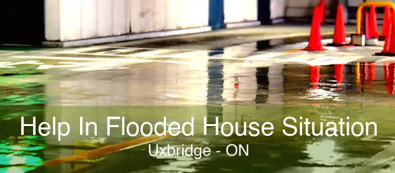 Help In Flooded House Situation Uxbridge - ON