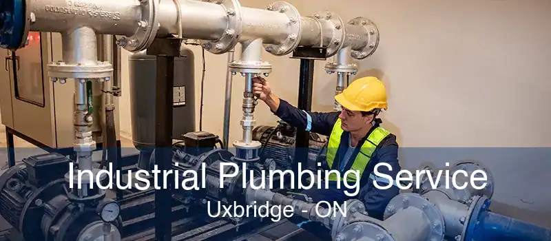 Industrial Plumbing Service Uxbridge - ON