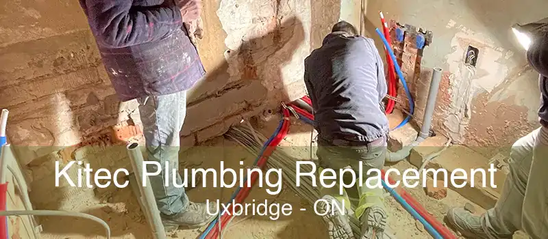 Kitec Plumbing Replacement Uxbridge - ON