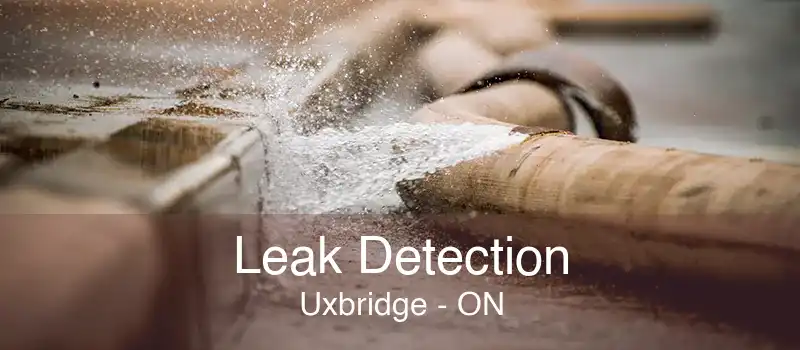 Leak Detection Uxbridge - ON