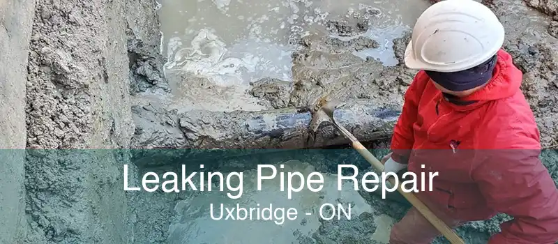 Leaking Pipe Repair Uxbridge - ON