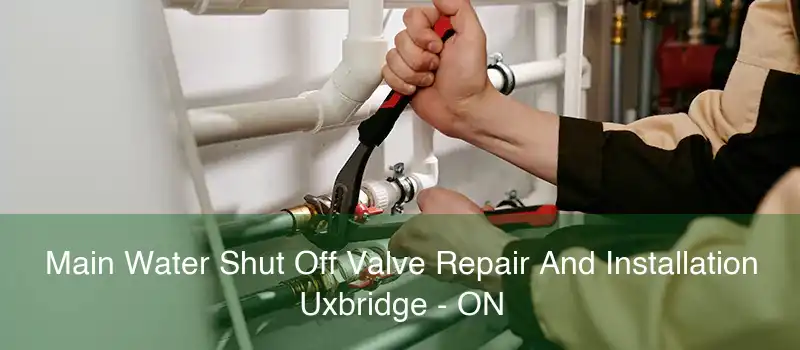 Main Water Shut Off Valve Repair And Installation Uxbridge - ON