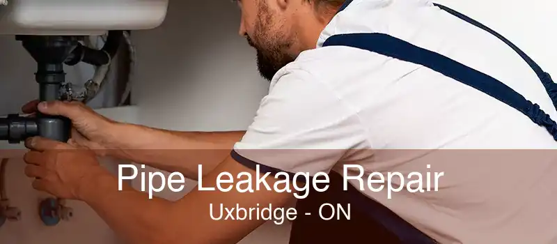 Pipe Leakage Repair Uxbridge - ON