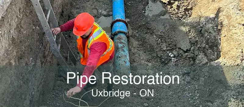 Pipe Restoration Uxbridge - ON