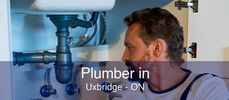 Plumber in Uxbridge - ON