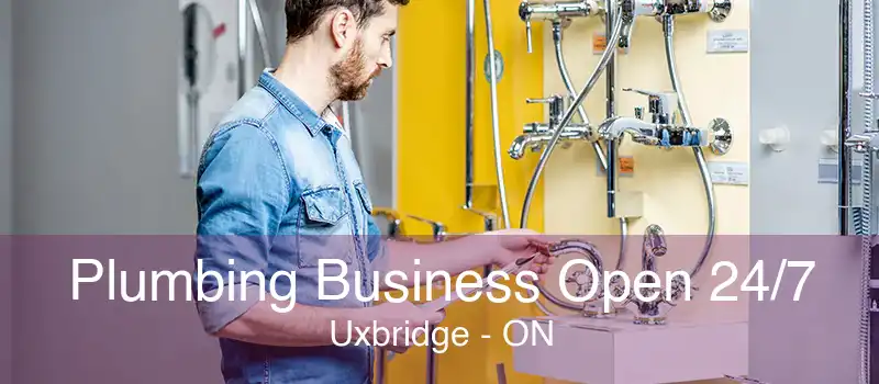 Plumbing Business Open 24/7 Uxbridge - ON