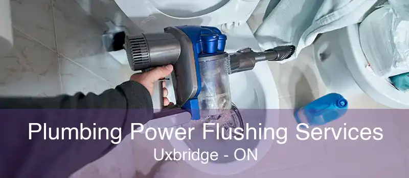 Plumbing Power Flushing Services Uxbridge - ON