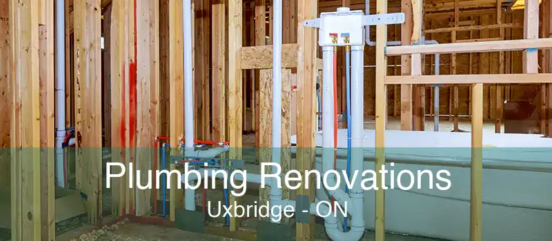 Plumbing Renovations Uxbridge - ON