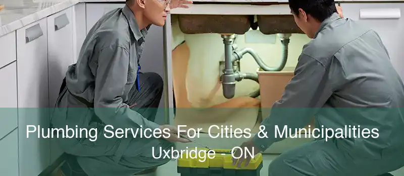 Plumbing Services For Cities & Municipalities Uxbridge - ON