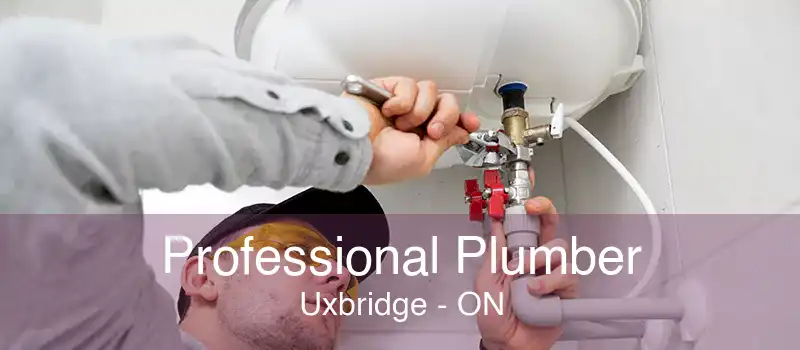 Professional Plumber Uxbridge - ON