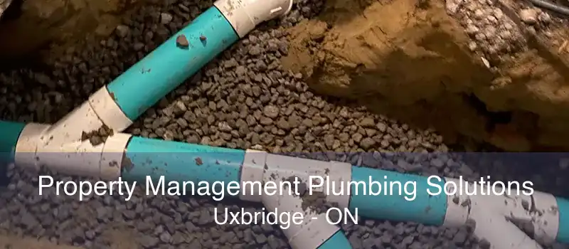 Property Management Plumbing Solutions Uxbridge - ON