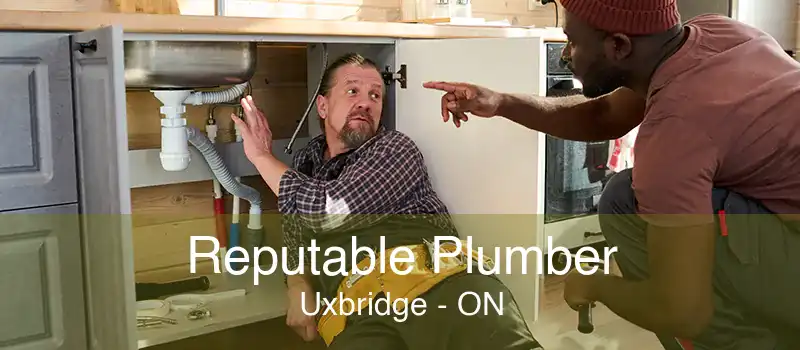 Reputable Plumber Uxbridge - ON