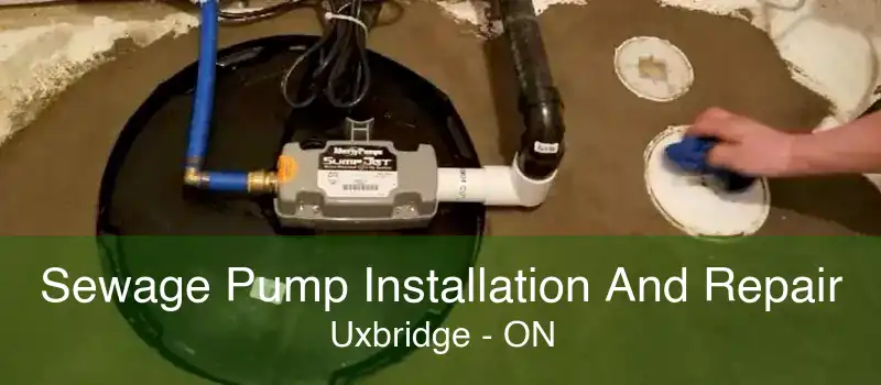 Sewage Pump Installation And Repair Uxbridge - ON