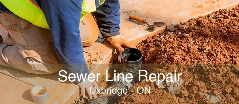 Sewer Line Repair Uxbridge - ON