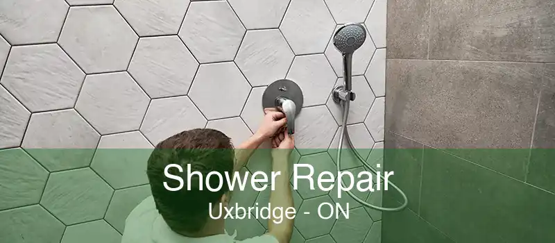 Shower Repair Uxbridge - ON