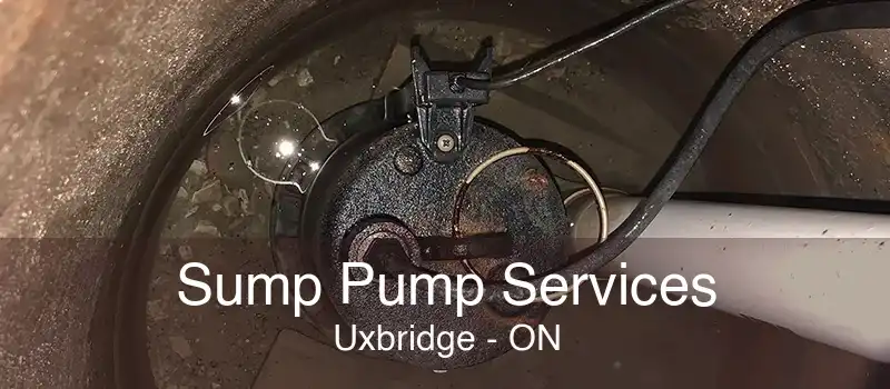 Sump Pump Services Uxbridge - ON