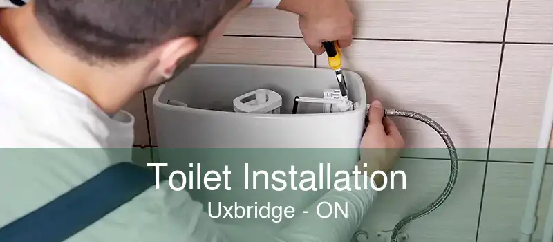 Toilet Installation Uxbridge - ON