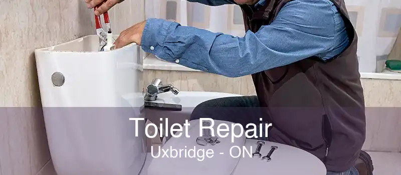 Toilet Repair Uxbridge - ON