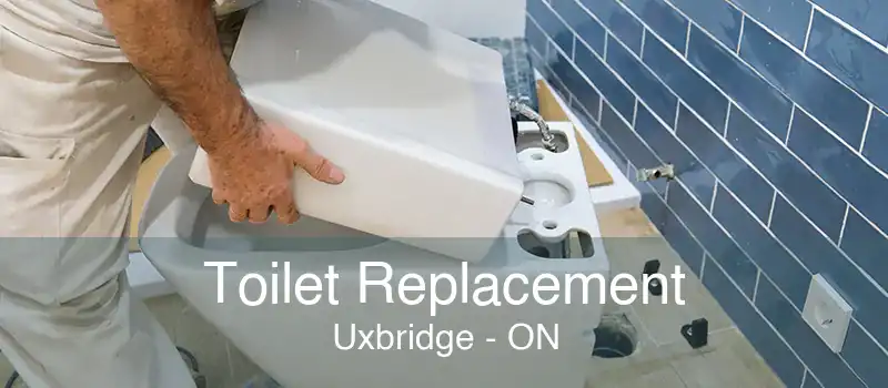 Toilet Replacement Uxbridge - ON