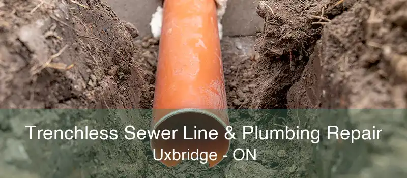 Trenchless Sewer Line & Plumbing Repair Uxbridge - ON