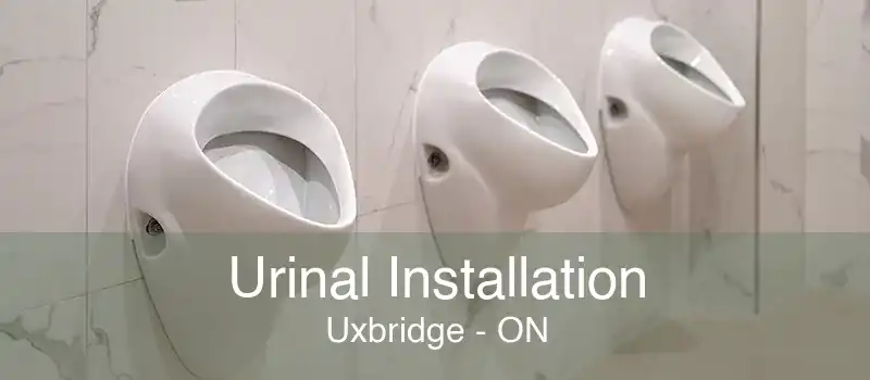 Urinal Installation Uxbridge - ON