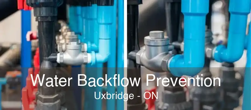 Water Backflow Prevention Uxbridge - ON