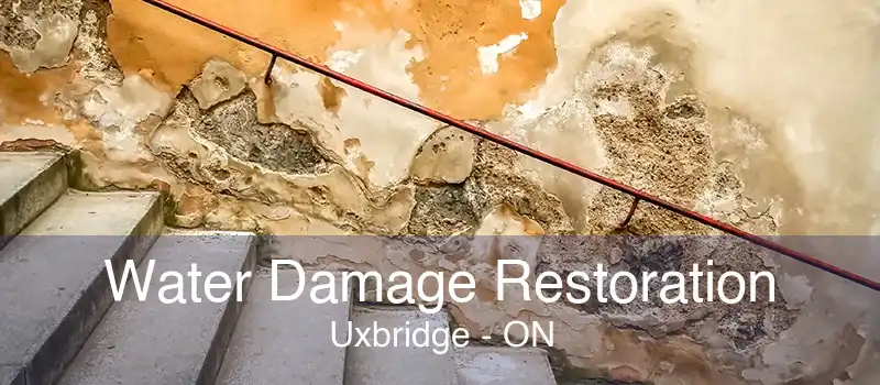 Water Damage Restoration Uxbridge - ON