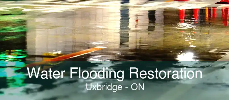 Water Flooding Restoration Uxbridge - ON