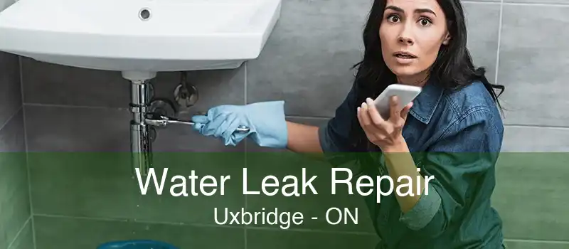 Water Leak Repair Uxbridge - ON