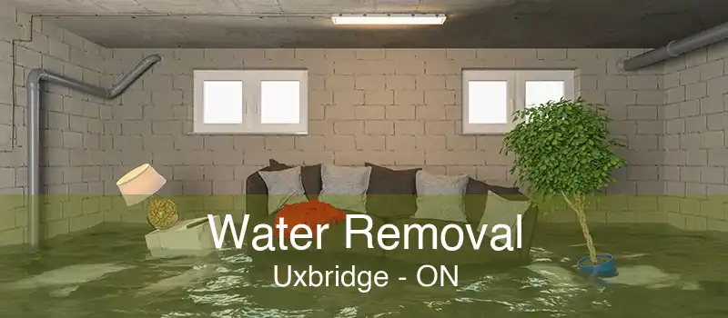 Water Removal Uxbridge - ON