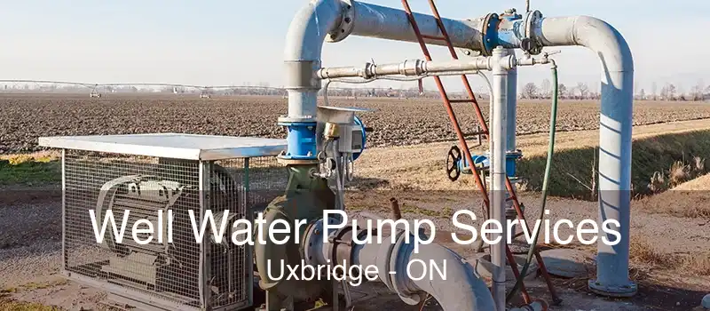 Well Water Pump Services Uxbridge - ON